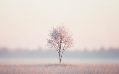 A kiégés fázisai – a kiégés 12 stádiuma