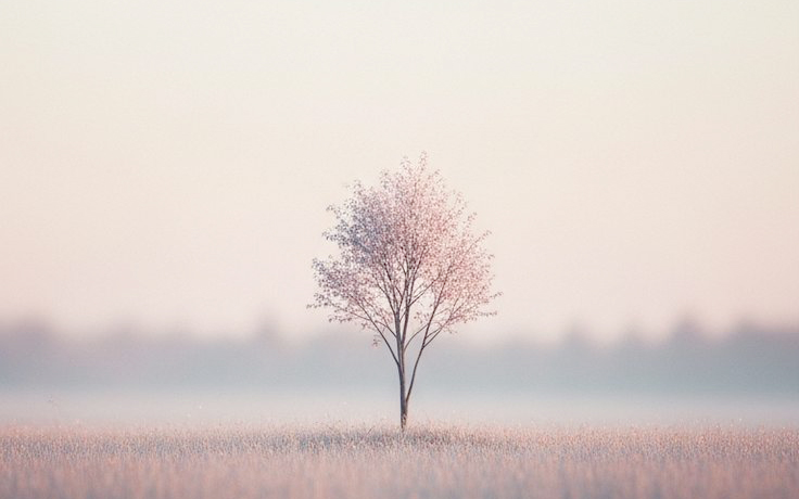 A kiégés fázisai: kiégés 12 fázisa