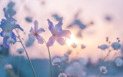 A kiégés megelőzése