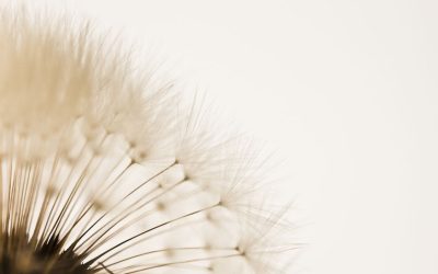 A traumás kötődés jellemzői, a traumás kötődés kezelése