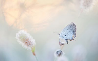 10 lépés a változáshoz – mit tegyél, ha nehéz döntések előtt állsz