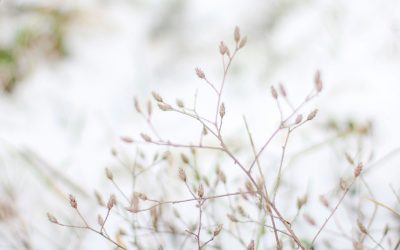 Változástól való félelem