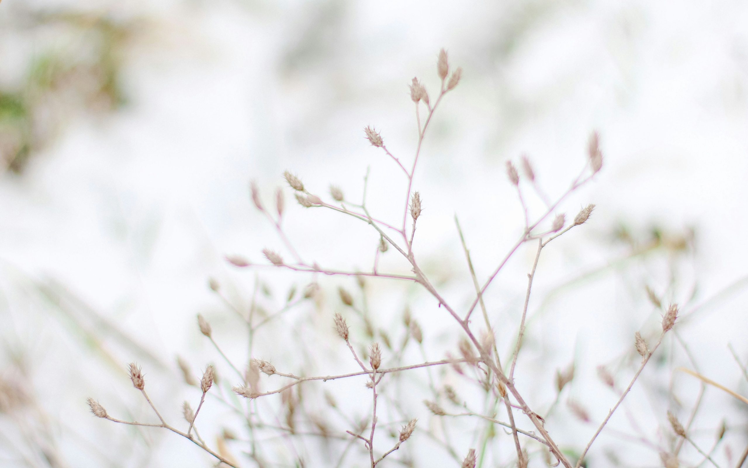 Változástól való félelem