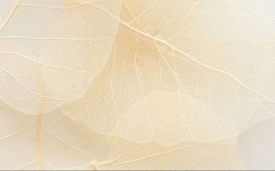 Határhúzás a hétköznapokban