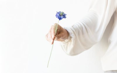 Lelki segítő szakmák képzés szerint