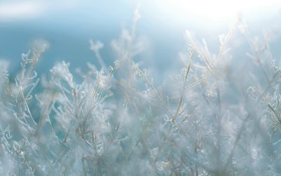 Mit tehetünk, ha nem tartják tiszteletben a határainkat?