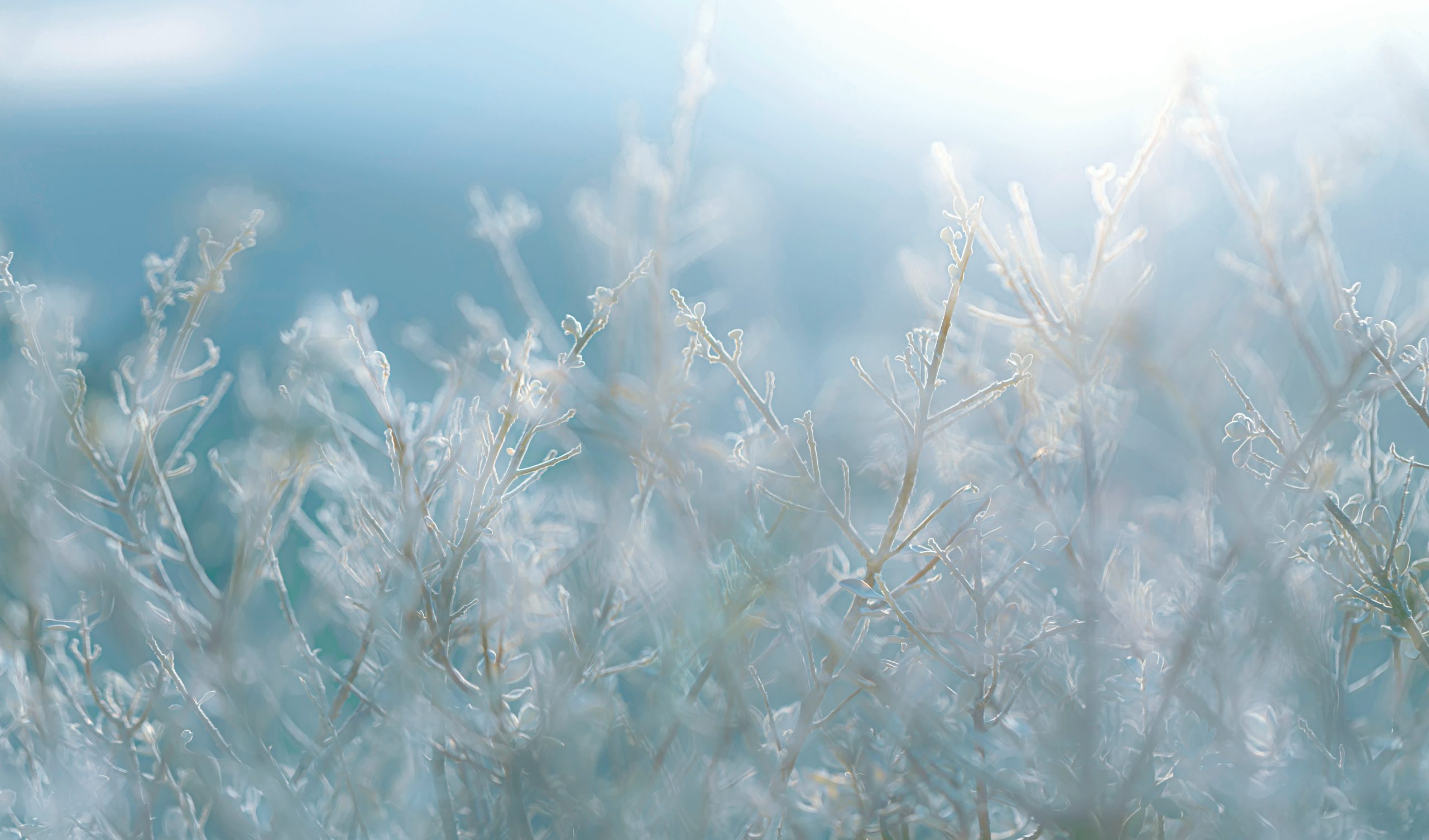 Meghúzzuk a határt, de a másik nem partner