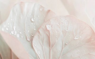 Mi a stressz, mi okozhatja és mit okozhat?