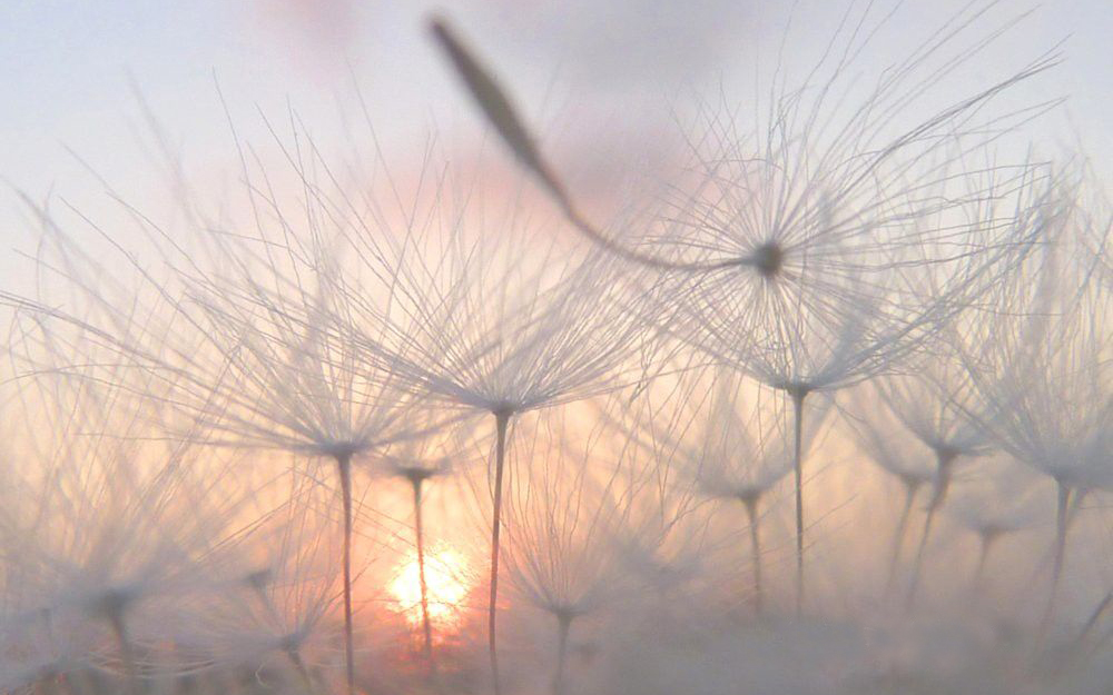 stresszkezelési technikák