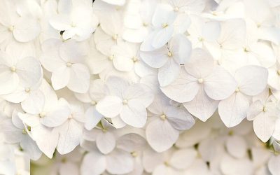 Amikor a biztonság találkozik a bizonytalannal – szorongó elkerülő és biztonságos kötődés a párkapcsolatban