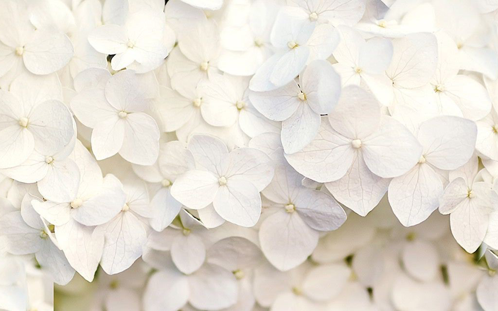 biztonságos kötődés