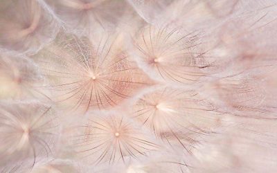 Hogyan lehet vége a halogatásnak?