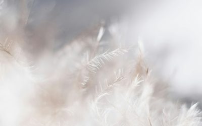 A mentálhigiéné szerepe a mindennapi életben