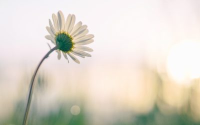 A segítő beszélgetés