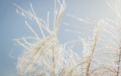 Mik azok a sémák, hogyan vannak jelen az életünkben? – A séma jelentése