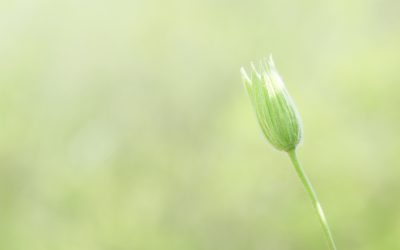 Amikor két szorongó szív találkozik – a szorongó ambivalens kötődés dinamikája a párkapcsolatban