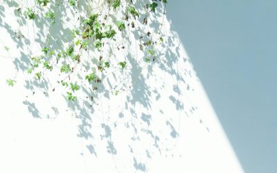 Se veled, se nélküled tánc – szorongó elkerülő kötődés és szorongó ambivalens kötődés a párkapcsolatban